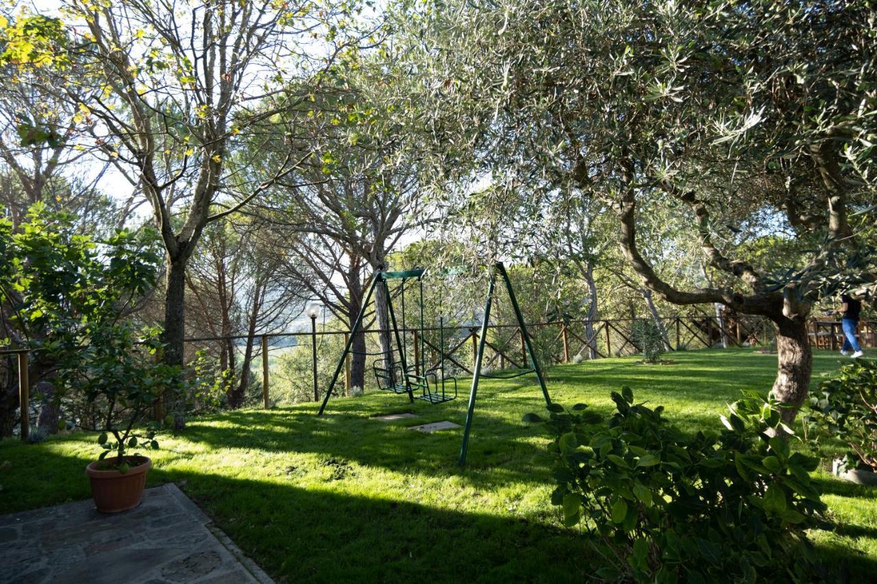 Il Cantico Delle Cicale
