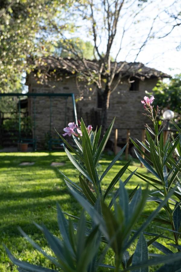 Il Cantico Delle Cicale Séjour à la ferme *