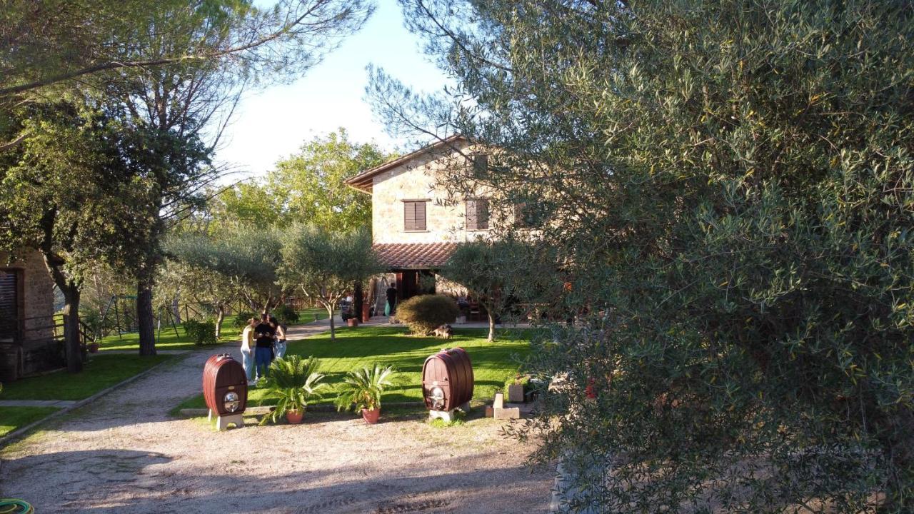 Il Cantico Delle Cicale Piccione